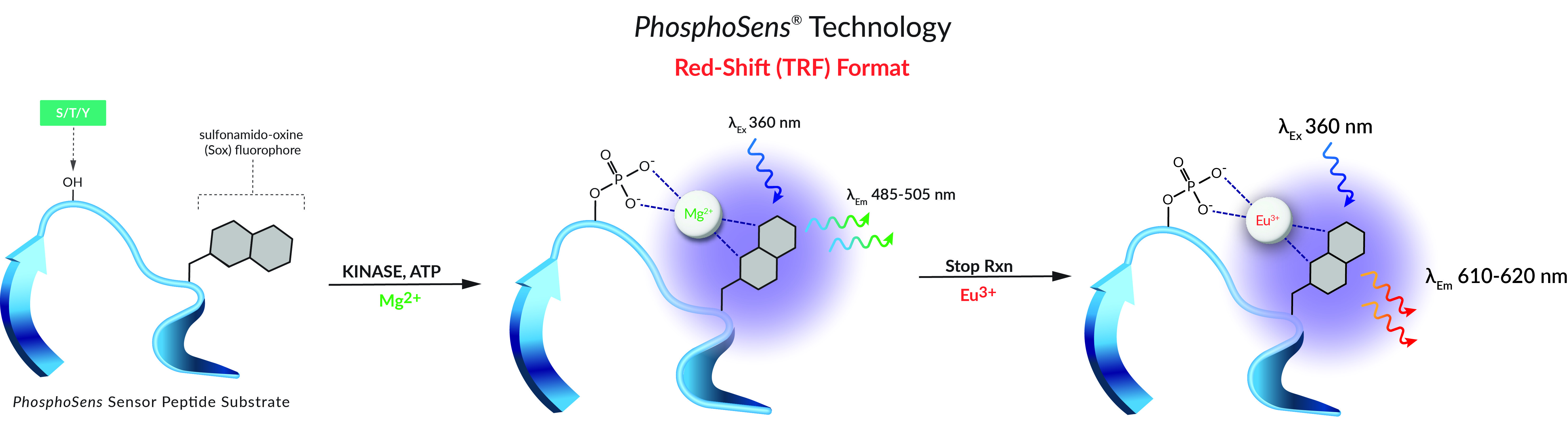 PhosphoSensExtended_RedShiftOnly